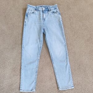 American Eagle Outfitters Blue Mom Jeans